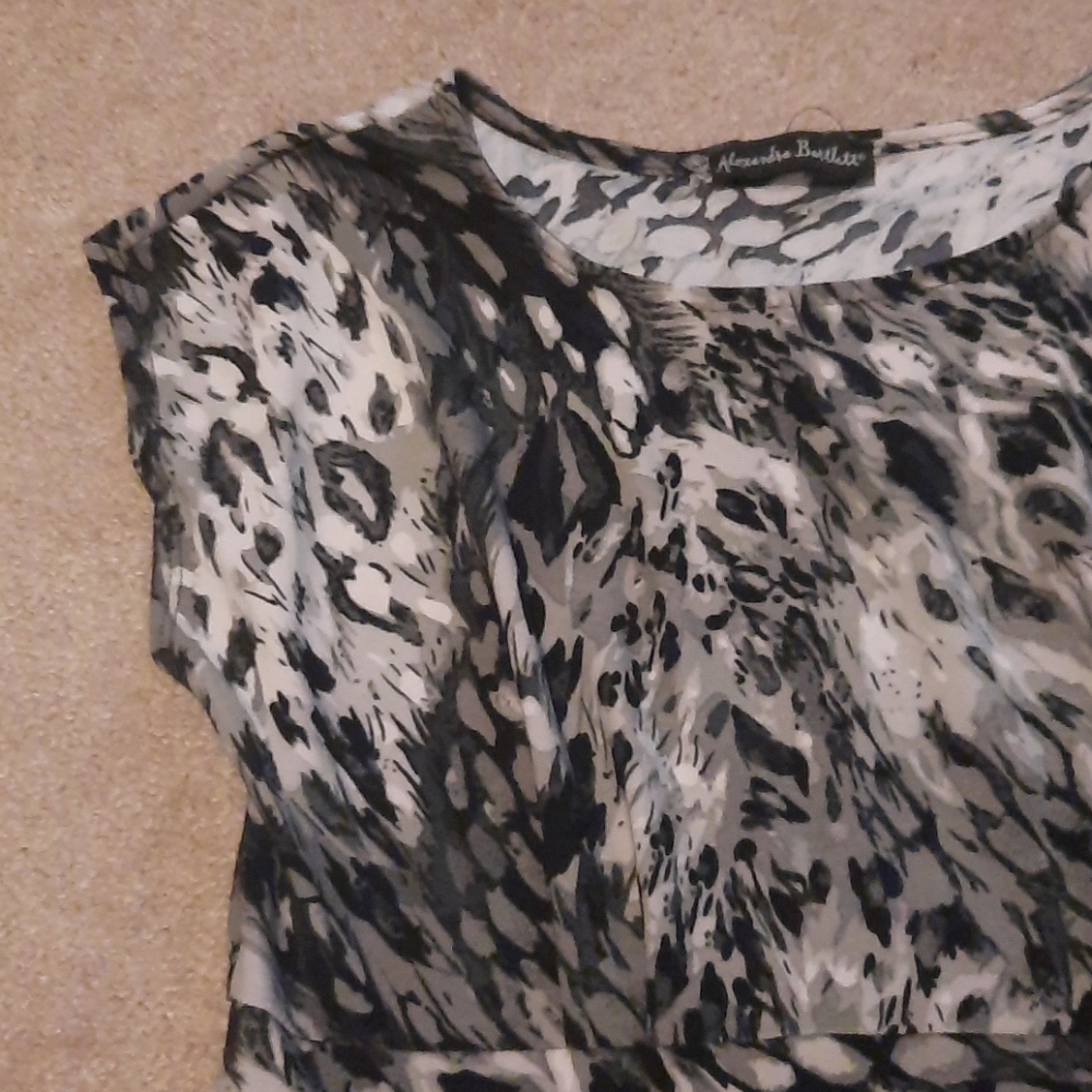 Dress‎ - Picture 3 of 6